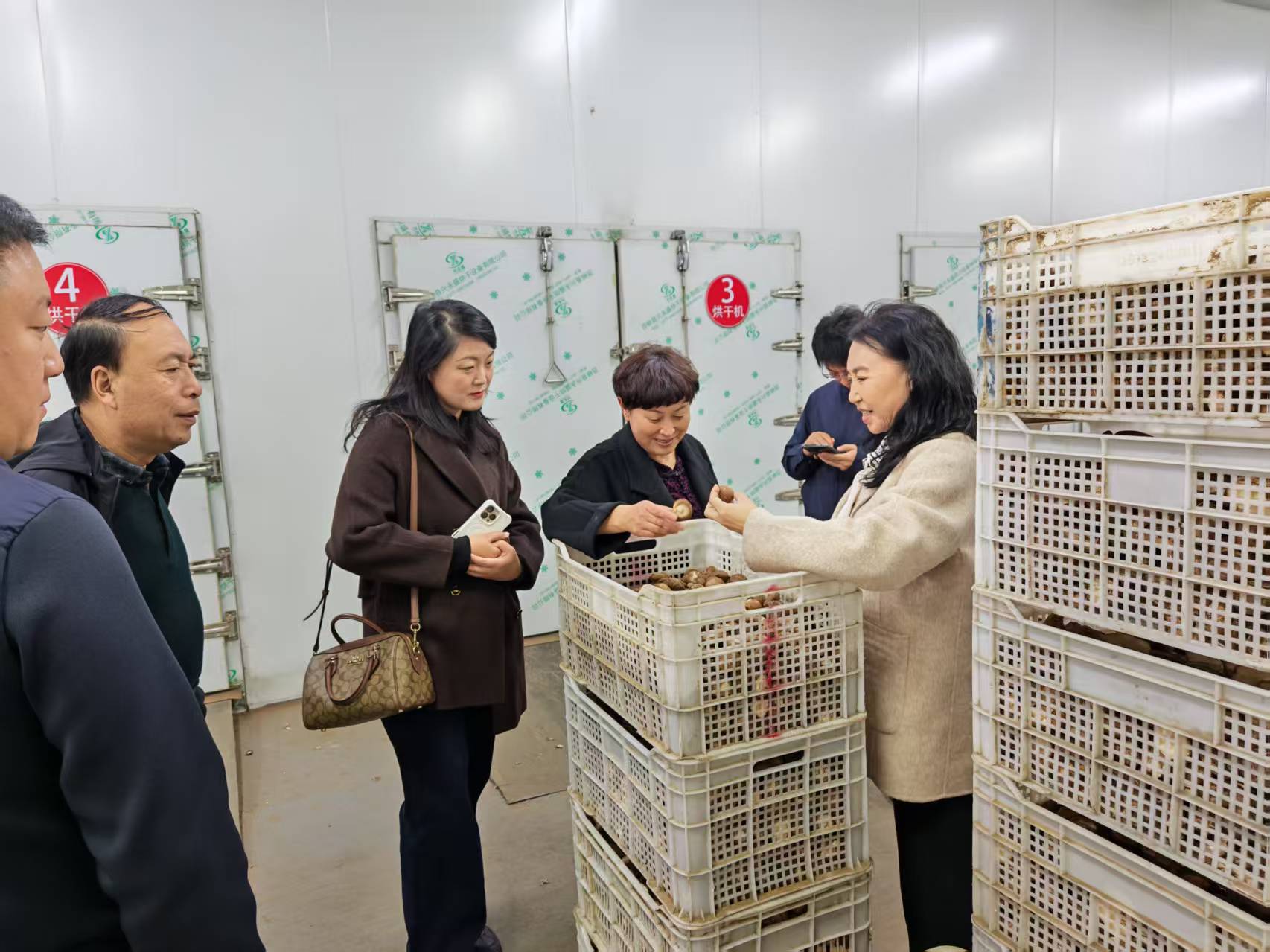 366da183a24e12f5564962515f907cbd